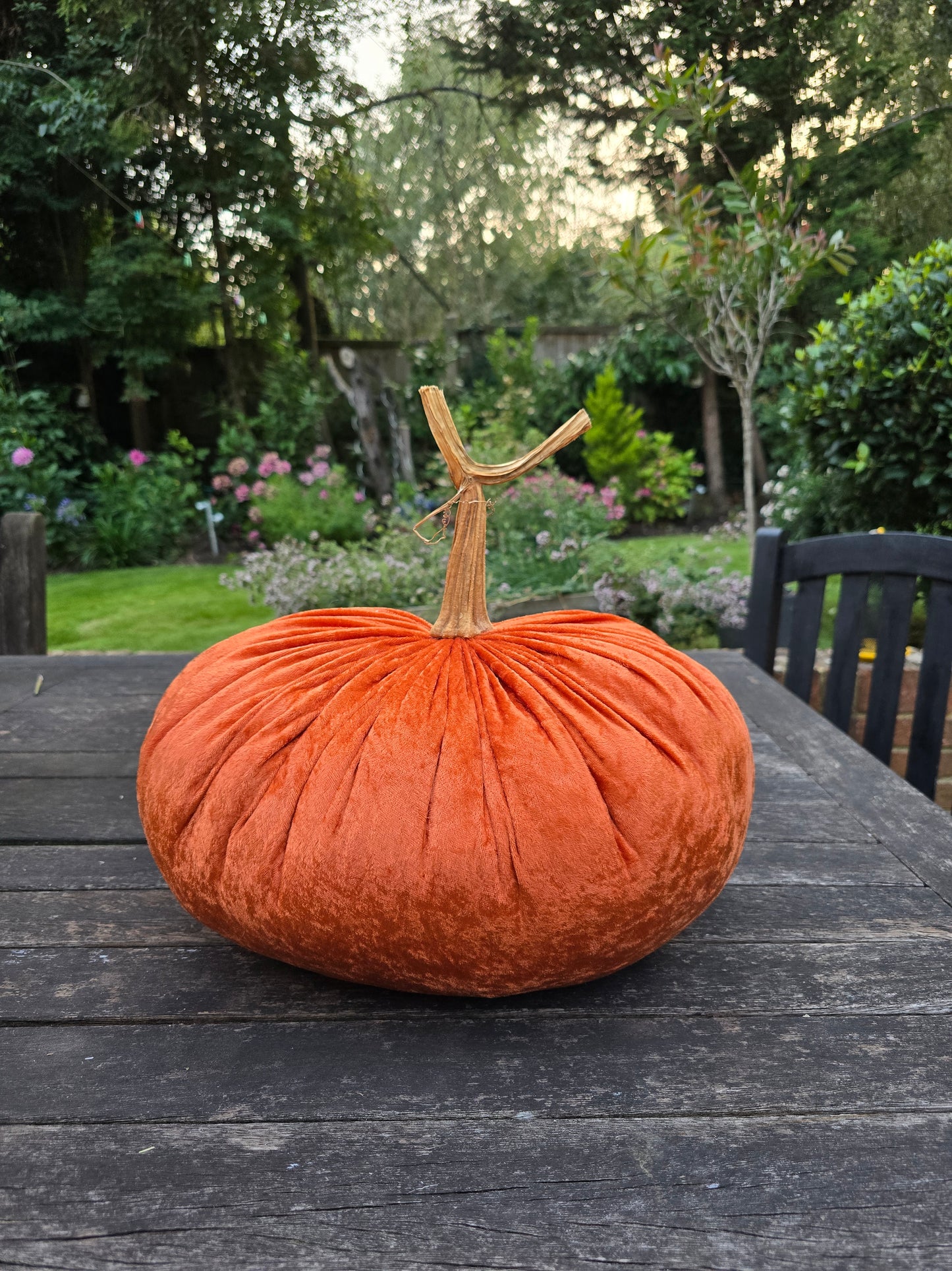 Jumbo XXL Classic Velvet Pumpkin with Real Stem