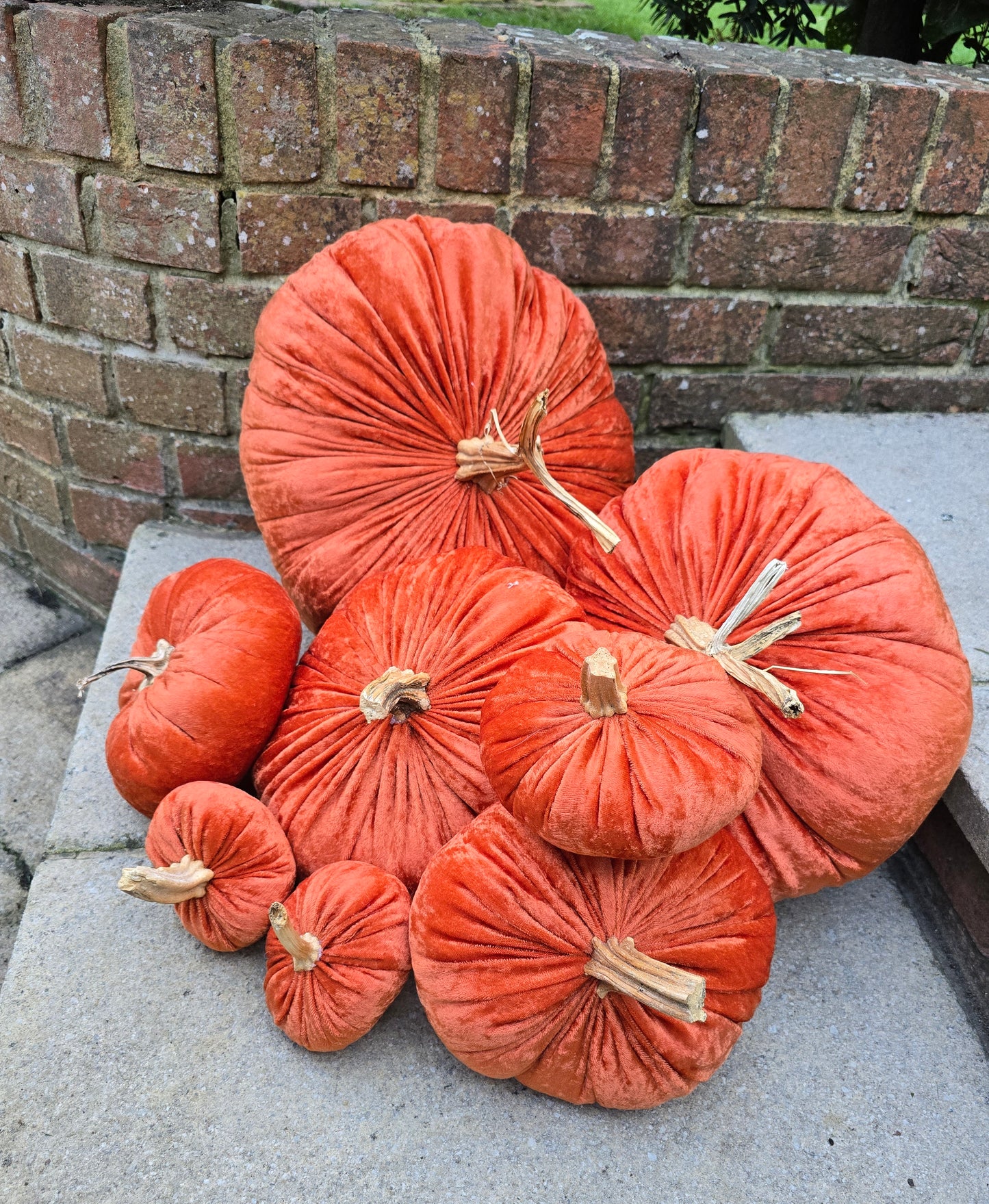 Jumbo XXL Classic Velvet Pumpkin with Real Stem