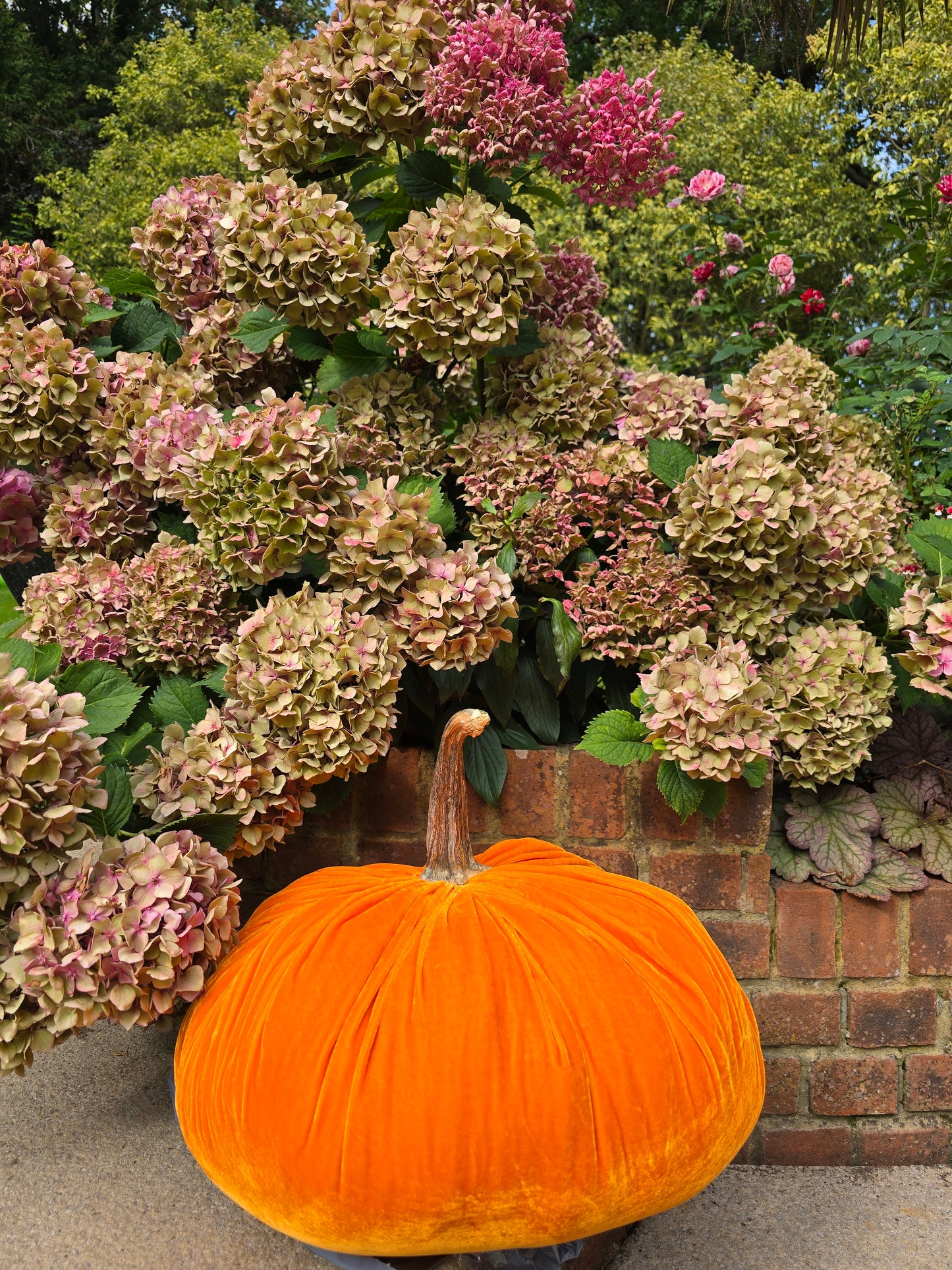 Extra Large Silk Velvet Luxe Pumpkin with Real Stem