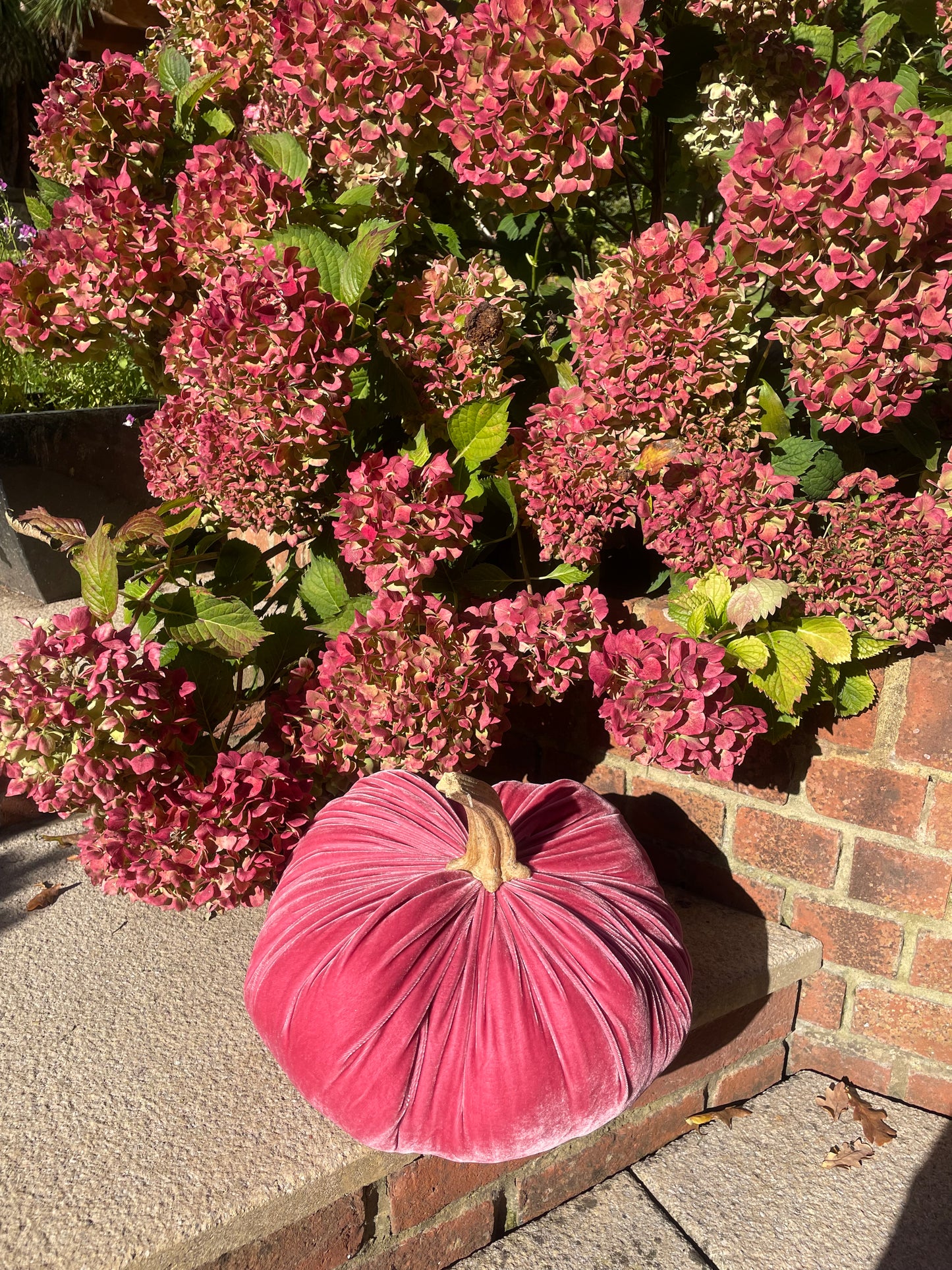 Extra Large Silk Velvet Luxe Pumpkin with Real Stem