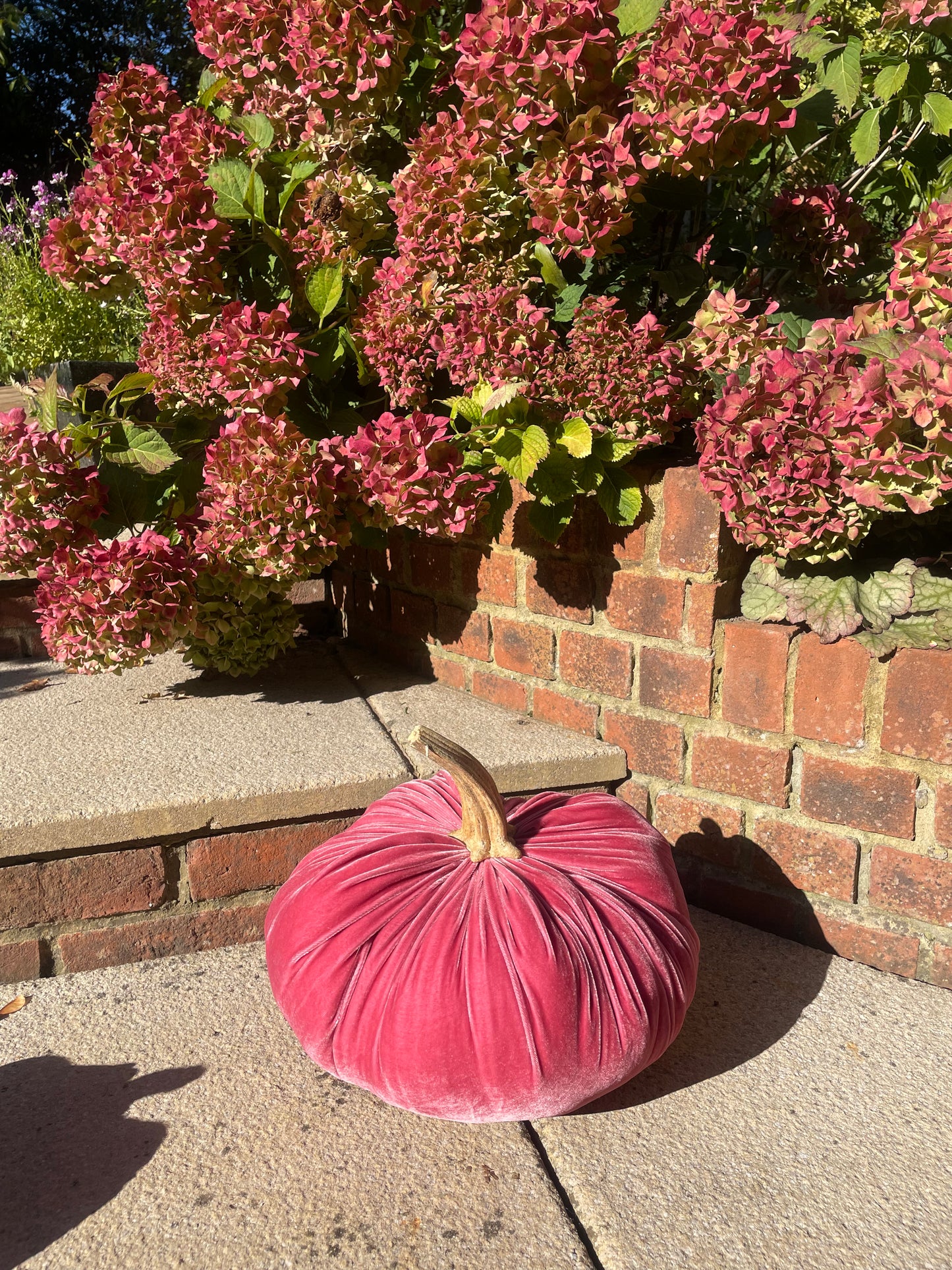 Jumbo XXL Silk Velvet Pumpkin with Real Stem