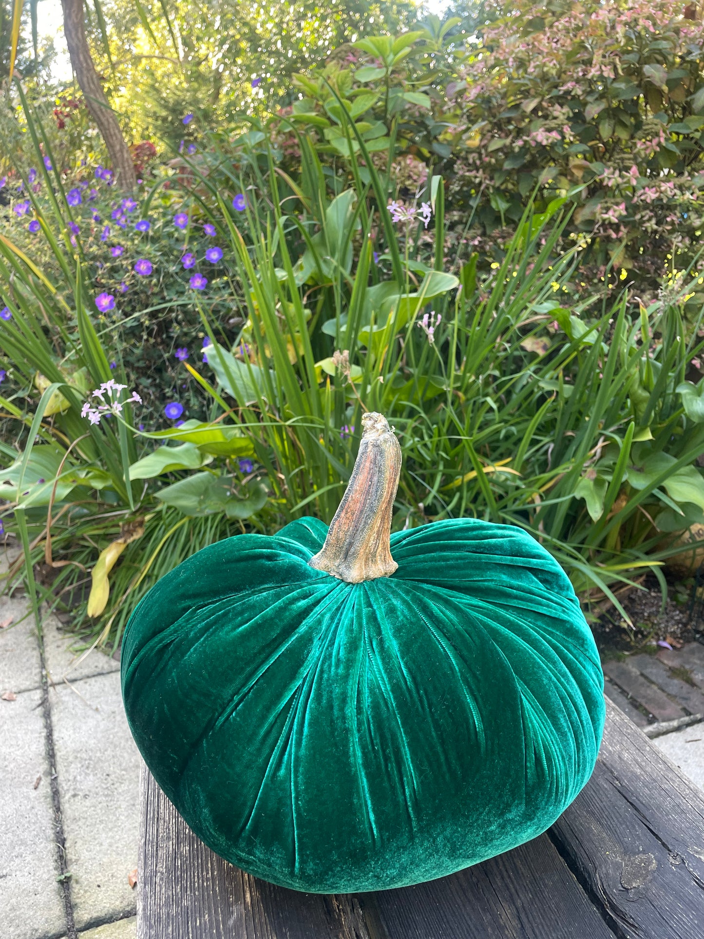 Jumbo XXL Silk Velvet Pumpkin with Real Stem