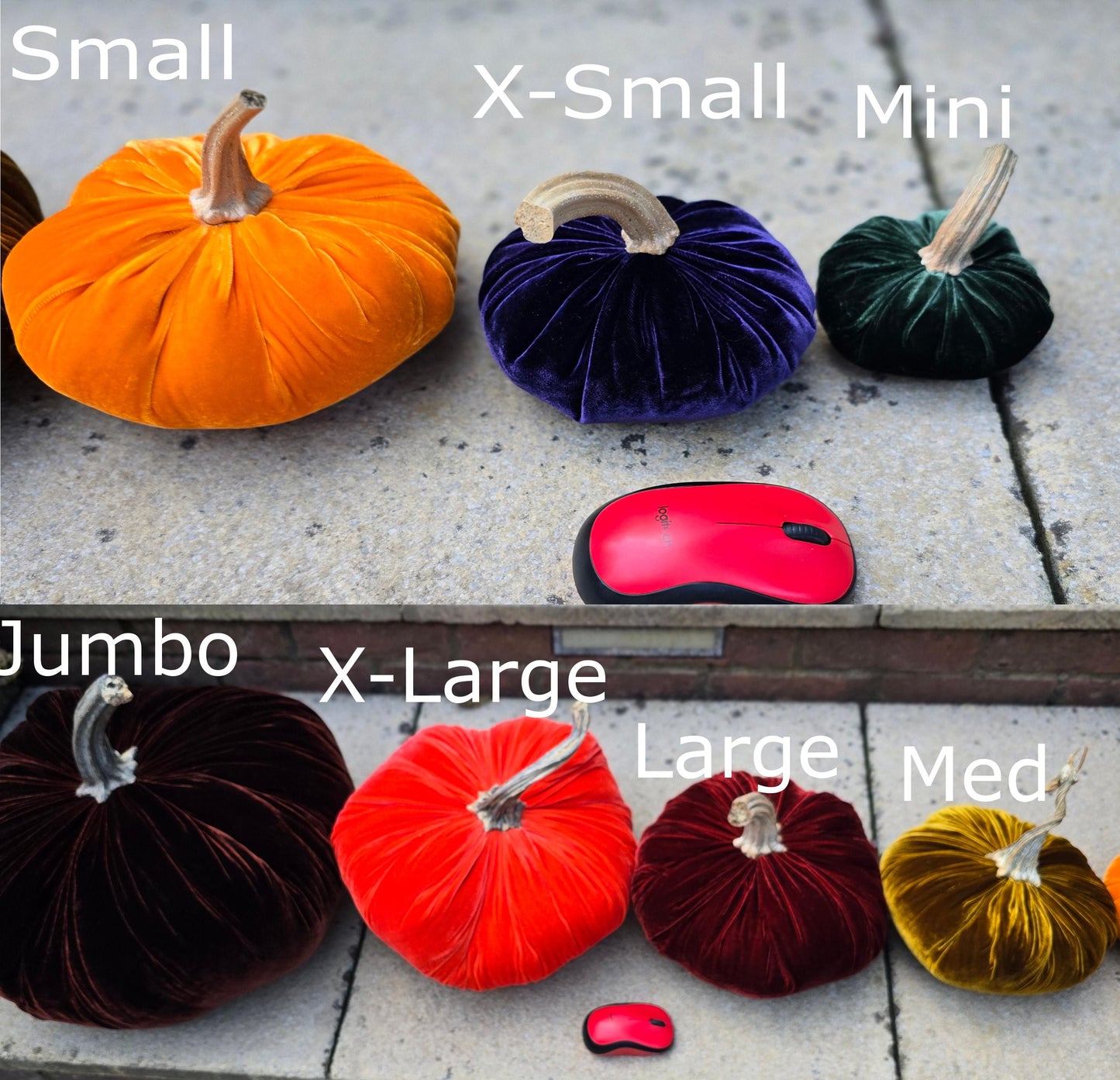 Jumbo XXL Classic Velvet Pumpkin with Real Stem