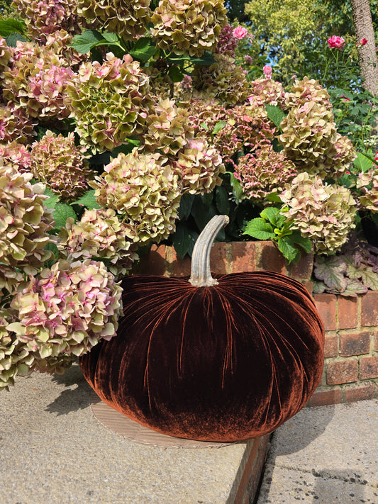 Jumbo XXL Silk Velvet Pumpkin with Real Stem