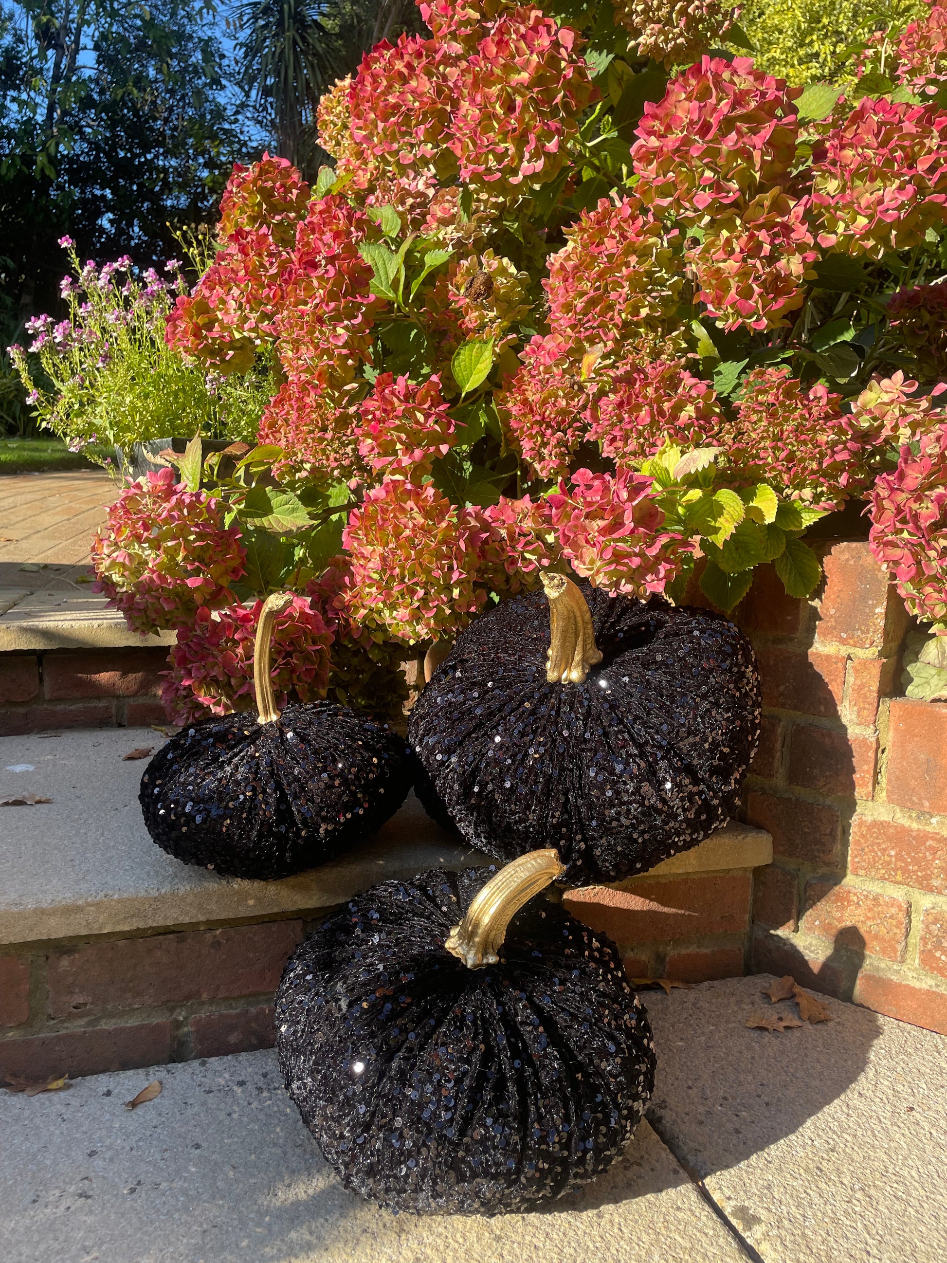 Extra Large Sparkly Velvet Sequin Pumpkin with Real Stem - Hats By Cressida