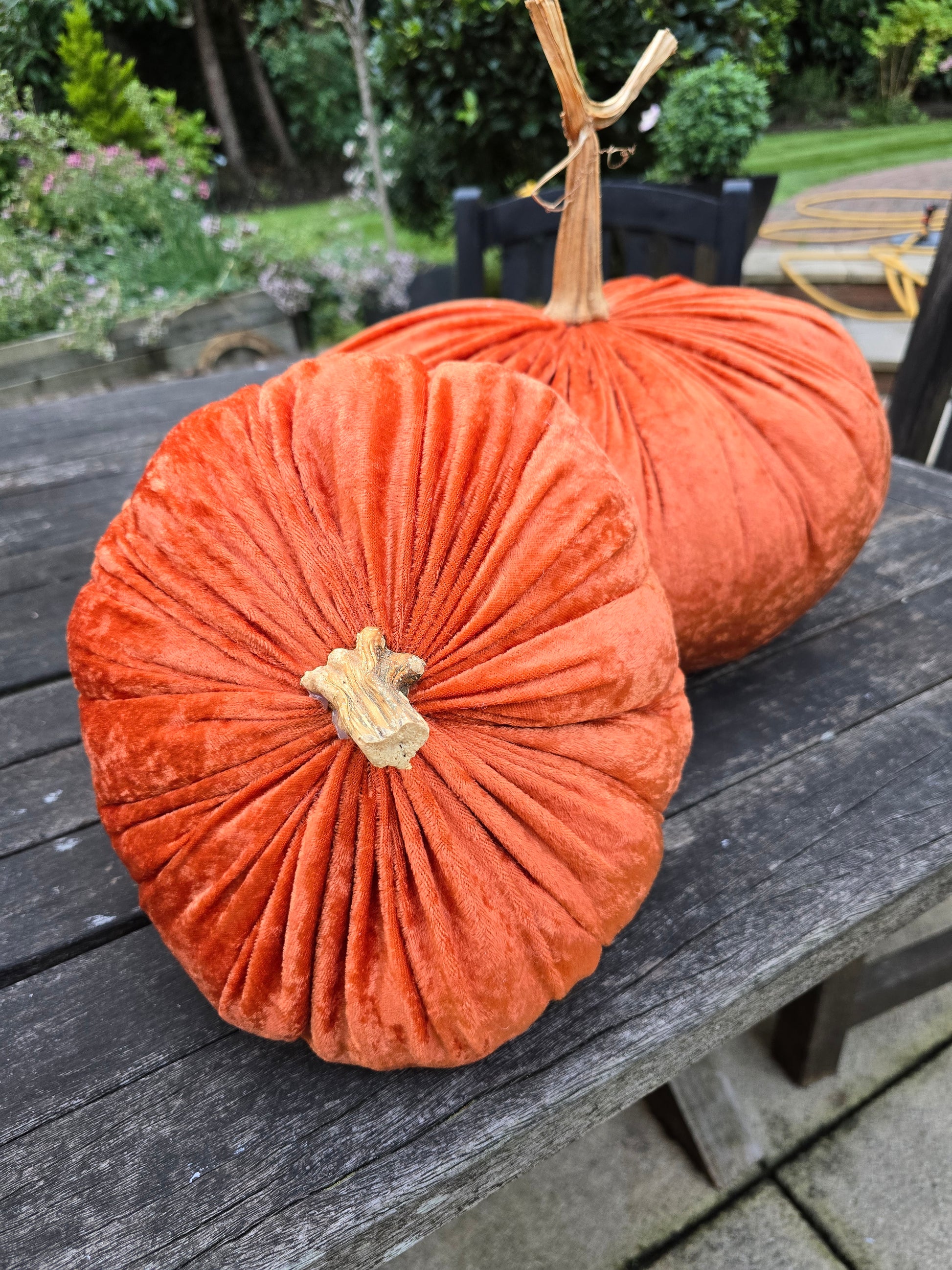Jumbo XXL Classic Velvet Pumpkin with Real Stem - Hats By Cressida