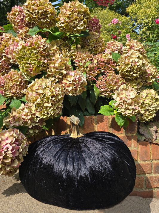 Jumbo XXL Classic Velvet Pumpkin with Real Stem - Hats By Cressida