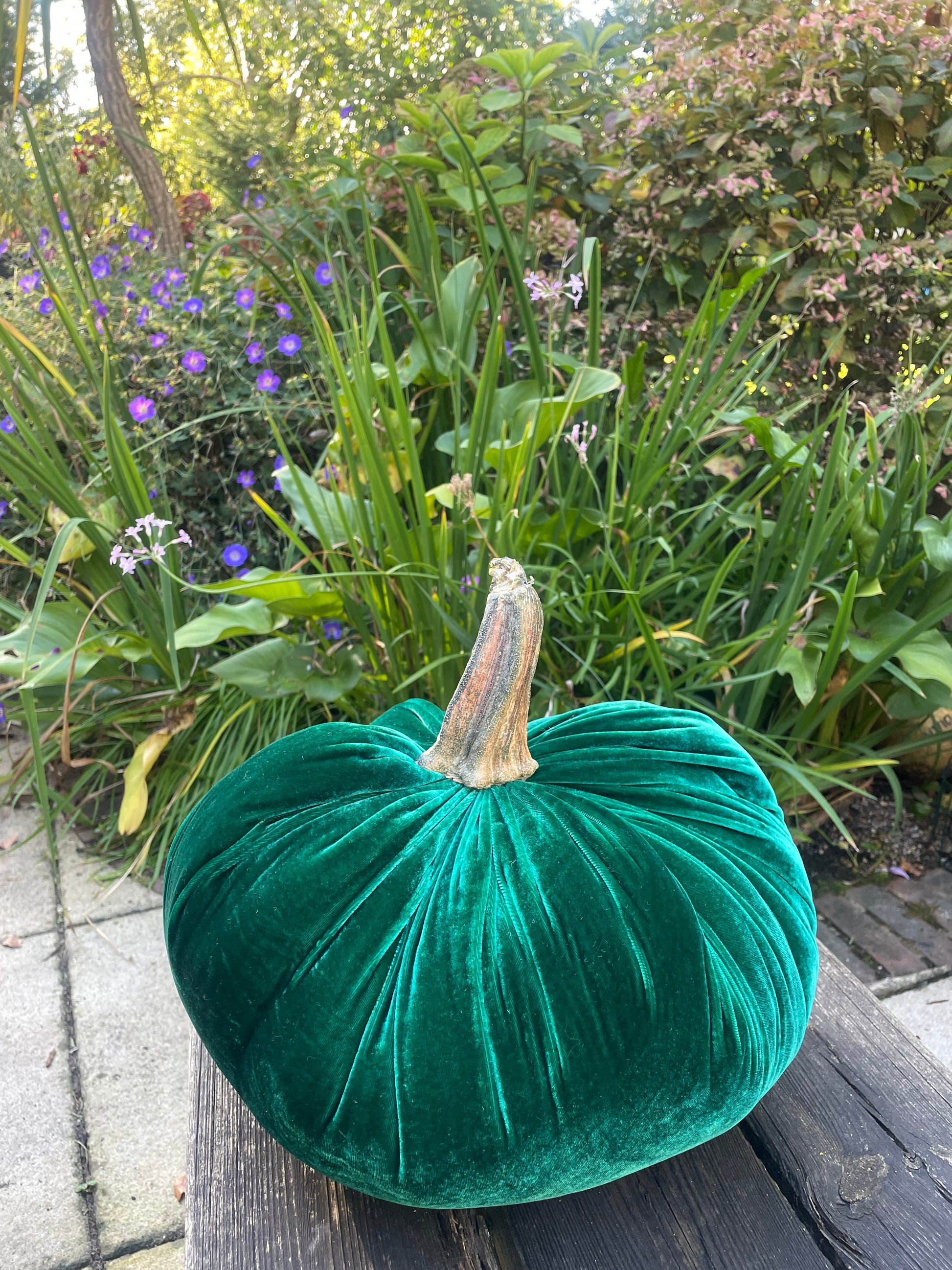 Jumbo XXL Silk Velvet Pumpkin with Real Stem - Hats By Cressida