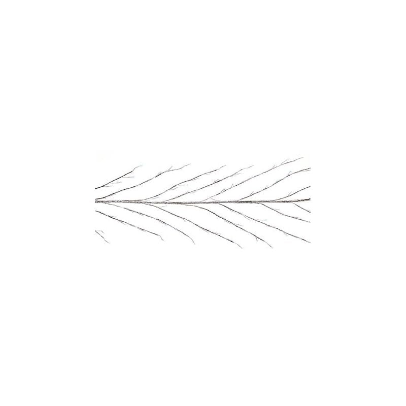 Premier Festive Christmas String Lights 3m Outdoor and Indoor Silver Lit Branch Twig Door Wall Garland, 288 Ice White LEDs Decor Decorations - Hats By Cressida