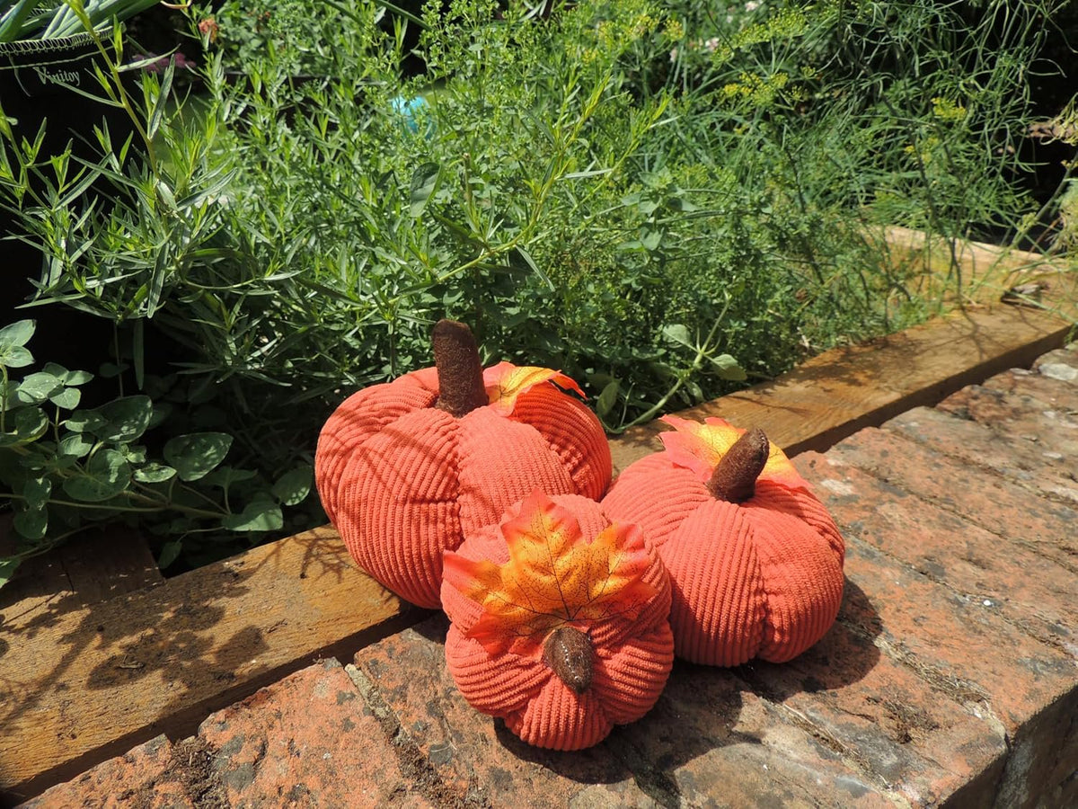 Set of 3 Burnt Orange Corduroy Pumpkins with Autumn Leaves
