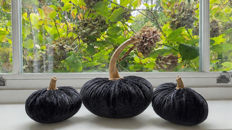 Black Velvet Pumpkin Small Set of 3, Halloween Decorations, Gothic Fall Autumn Table Mantel Decor