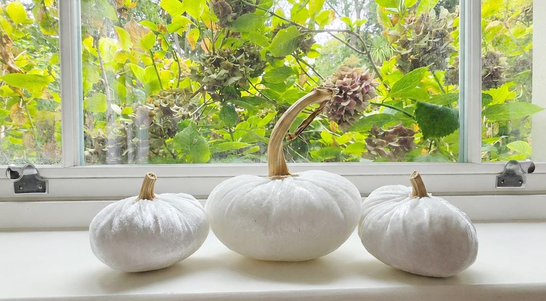 White Velvet Pumpkin Small Set of 3, Autumn Wedding Centrepiece, Bridal Shower Fall Table Decor