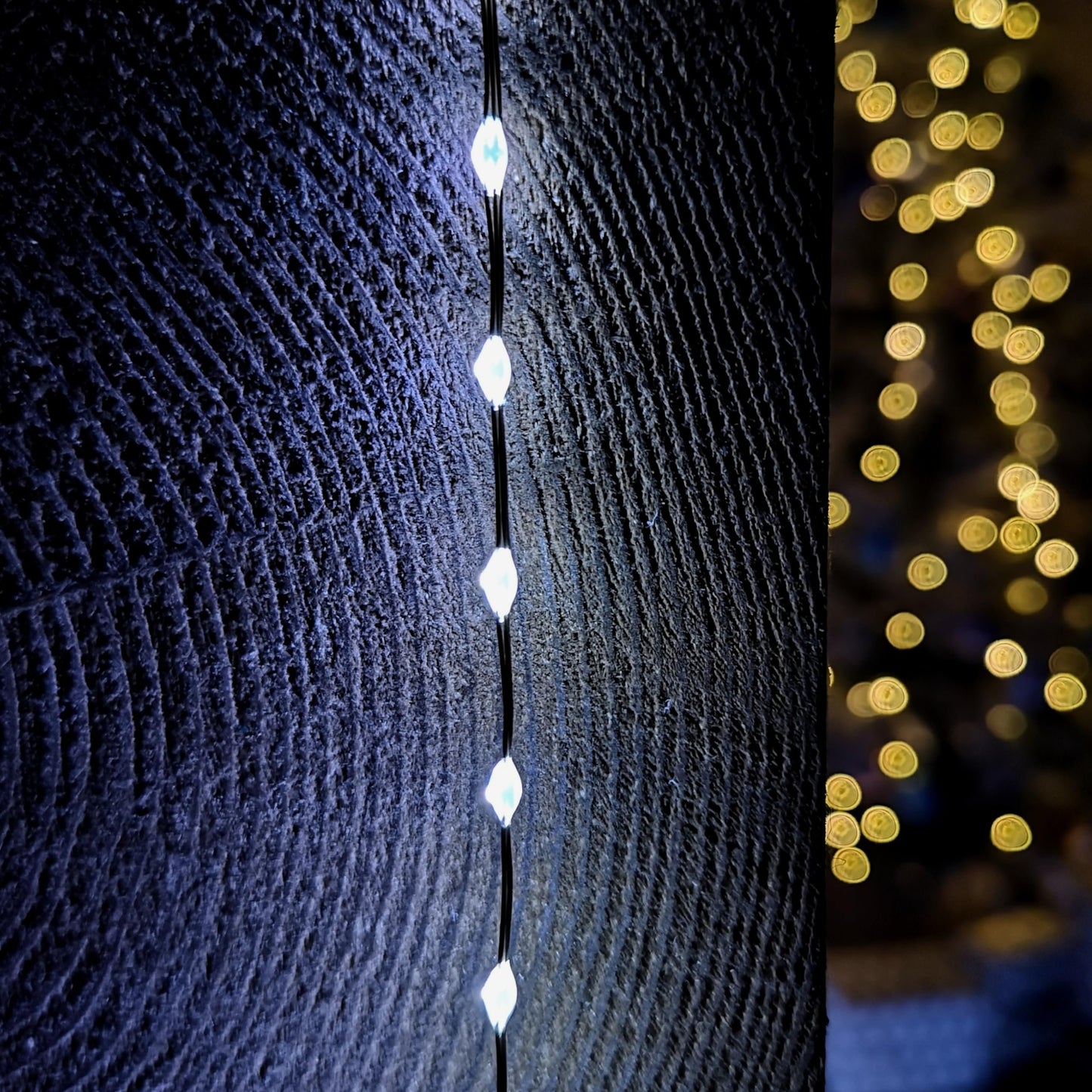 Premier 9.6m Compact MicroBrights Christmas Lights with 600 LEDs in White
